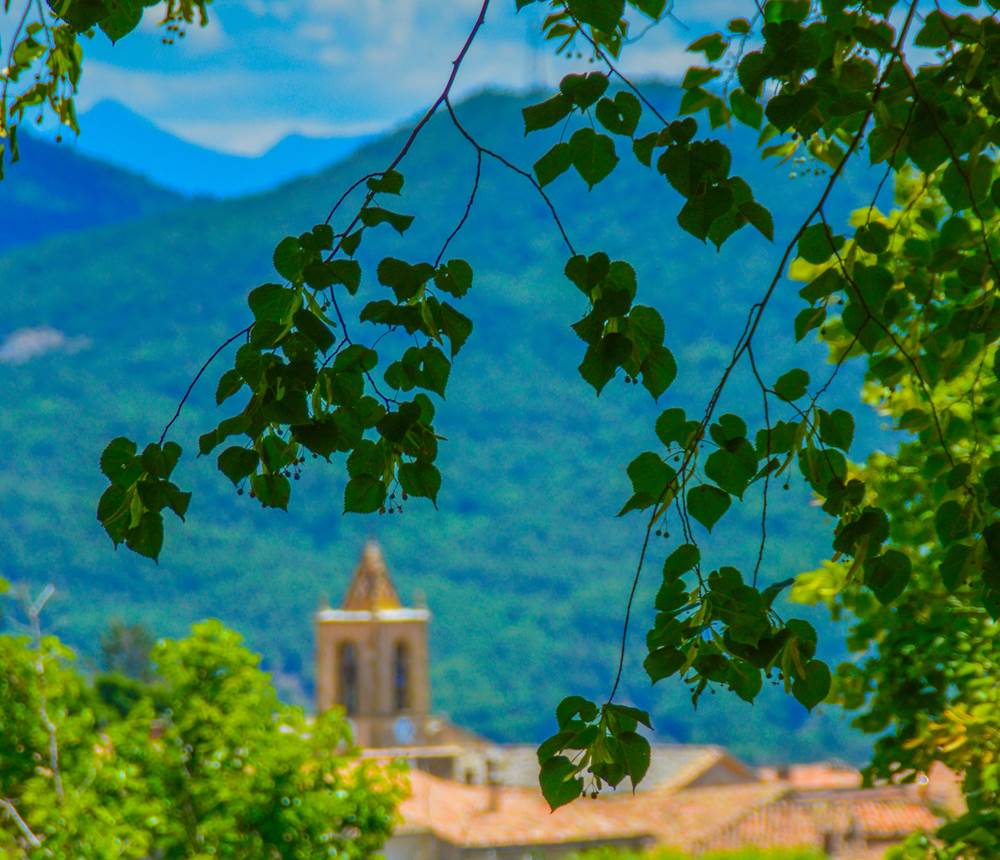 Les tilleuls de la Bastide du Claus face a` l'e´glise du village
